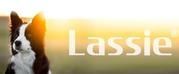 Lassie