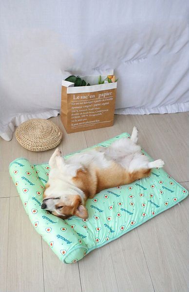 Охолоджуюча підстилка з подушкою Derby Ice Silk Summer Pet Cooling Mat Avocado для домашніх тварин CM008-1-6080 фото