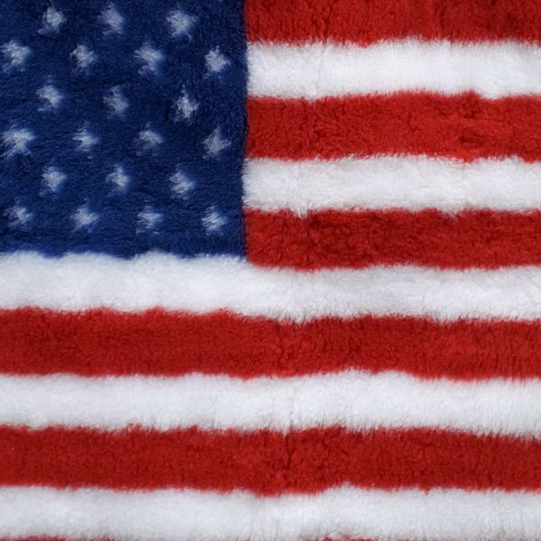 Килимок VetBed "USA" VB-019 фото
