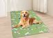 Літня охолоджуюча підстилка для собак Derby Ice Silk Material Summer Pet Cooling Mat Dog Pattern - Green CM009-2-85х120 фото 2
