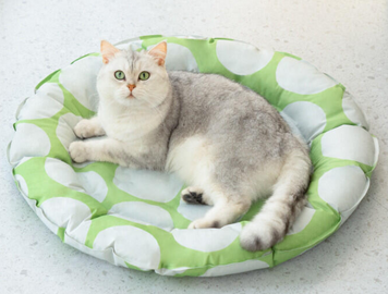 Охолоджуючий килимок для собак GEL Pet Cooling Mat Round Green PCM02 фото
