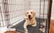 Летняя охлаждающая подстилка для собак Derby Ice Silk Summer Pet Cooling Mat Dogs Smile CM011-04-85х120 фото 6