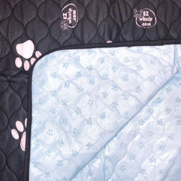 Трехслойная пеленка для собак EZwhelp Black&White Dp4848Black фото