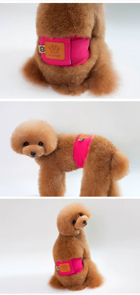 Багаторазовий підгузок для кобелів Pet Dresses up Dogstyle Pink MM5013-XL фото