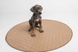 Водонепроницаемая круглая пеленка EZwhelp Brown Laminated Underpad VI36R фото 1