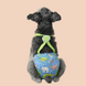 Многоразовый подгузник для сук Derby Reusable Dog Diaper KS009-03 на шлейках KS009-03-M фото 1
