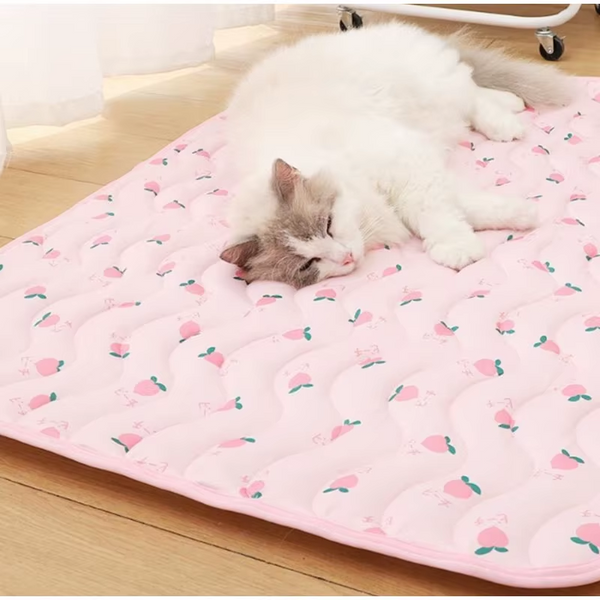 Летняя охлаждающая подстилка Derby Ice Silk Summer Pet Cooling Mat Strawberry CM012-2-70х100 фото